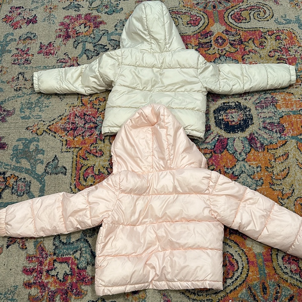 Crop puffer jackets - Picture 4 of 4